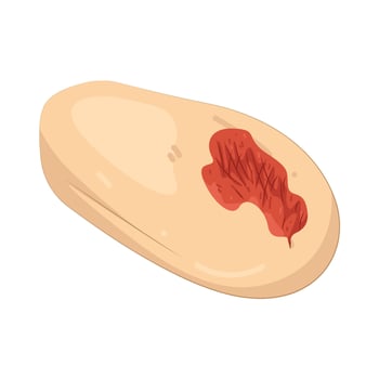 Illustration of wound vector
