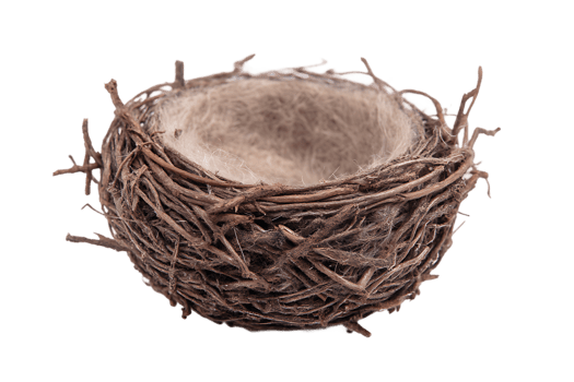 Bird Nest Isolated Empty Wildlife Natural Decorative Small Woven Animal Habitat png