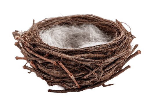 Empty Bird Nest with White Lining Nesting Habitat for Feathered Friends png