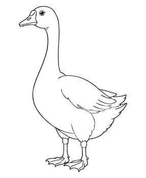 Cute goose Illustration Coloring Book vector