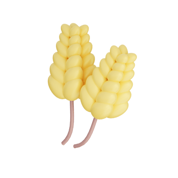 3D Wheat Illustration Icon Render png