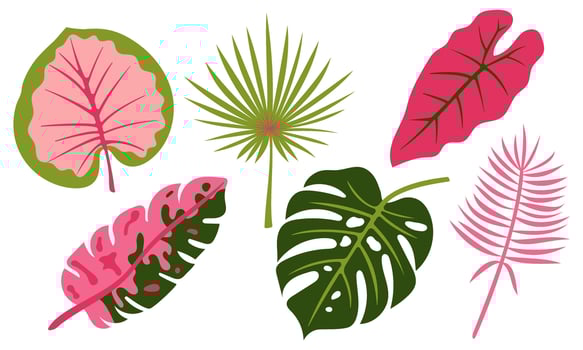 Tropical Botanical Leaves Set. Exotic Plant Foliage Collection, Colorful Jungle Flora, Decorative Greenery Elements, Summer Leaf Shapes, Flat Nature Illustration vector