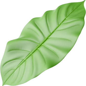 Lush Green Leaf Isolated png