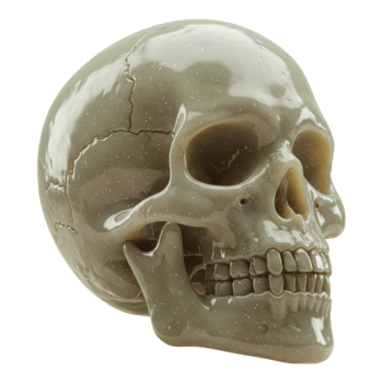 Plastic 3D Skull Transparent Background png