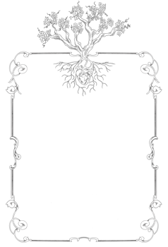 Vines grape plant botanical frame and border 2 png