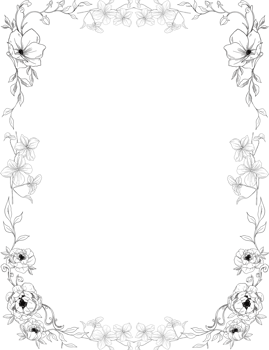 wild flower poppies botanical frame and border png