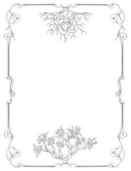 Vines grape plant botanical frame and border for text png