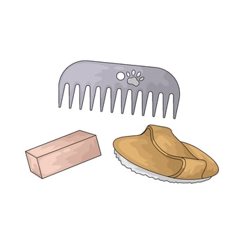 Pet Grooming Tools illustration vector