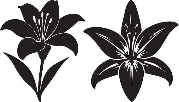 Lily Flower Silhouette Elegant Floral Designs vector