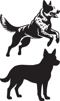 Australian Kelpie Dog Breed Silhouette vector