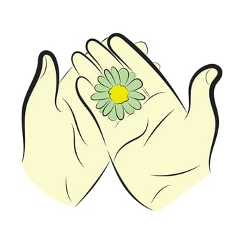 Hands Holding Green Daisy Flower Illustration vector