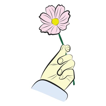 Pink Flower in Hand. Illustration of Gentle Gesture vector
