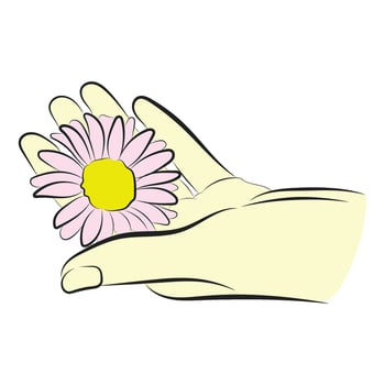 Hand Holding Pink Daisy Flower Flat Illustration vector