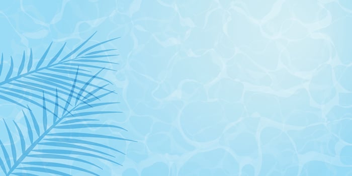Summer banner design with exotic plam tree leaves shadow on blue ocean blue beach, Summer background vector