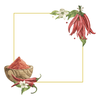 A square frame with red chili pepper pods, a wooden plate filled with spice powder, green leaves, flowers, pepper slices, seeds. The watercolor illustration is hand-drawn in watercolor. For culinary png