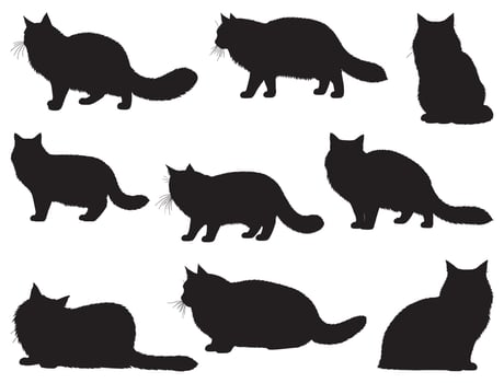 SIBERIAN CAT SILHOUETTE vector
