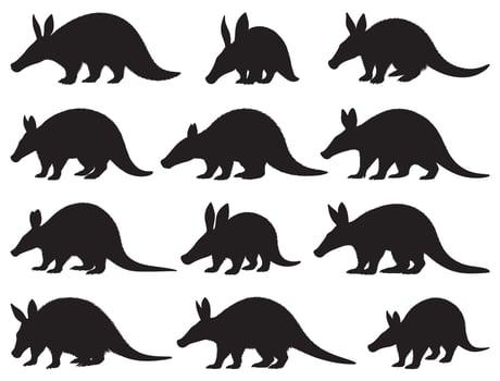 AARDVARK SILHOUETTE WHITE BACKGROUND vector
