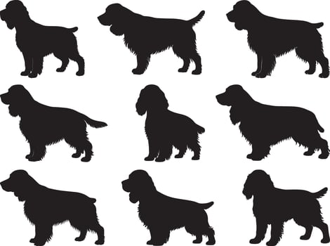 Field Spaniel Dog Silhouette vector