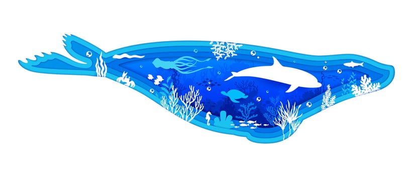 Paper cut fur seal silhouette with sea animals vector