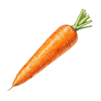 carrot isolated on transparent background png