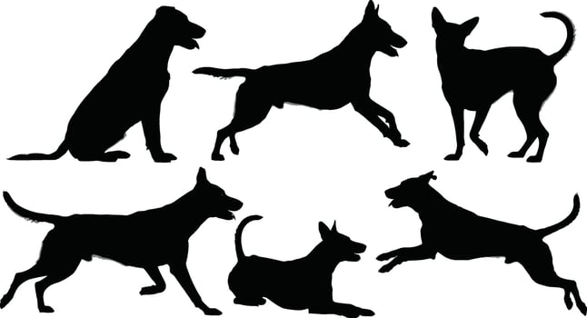 Silhouettes of various dogs in different poses on a white background for design elements vector
