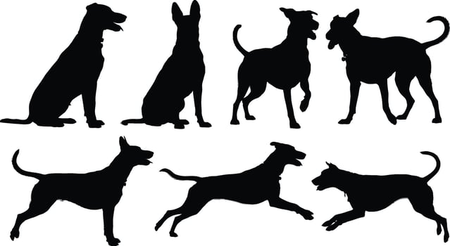 Black silhouette illustrations of dogs in various poses perfect for design projects and artistic visuals vector
