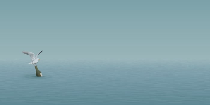 Minimalist seascape have a seagull on a bottle of liquor floating in the middle of the sea graphic illustration. vector