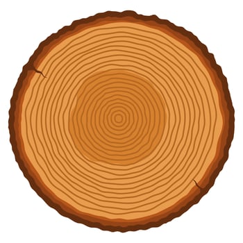 Tree trunk with ring illustration vector