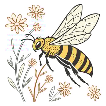 Winged Insect Illustrations vector