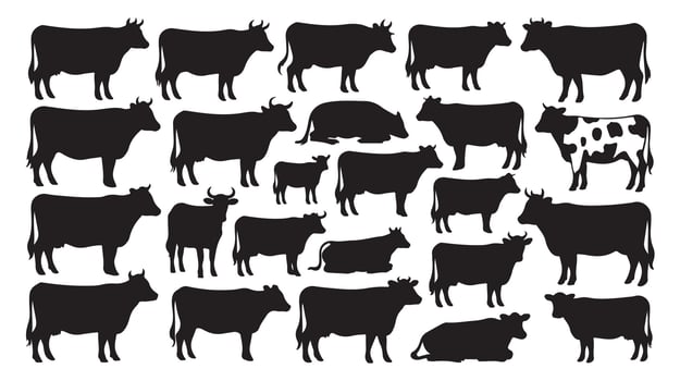 Collection of detailed black cow silhouettes isolated on a white background with various poses vector
