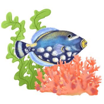 Tropical exotic ocean hand drawn art in soft pastel style with bright clown tiger fish illustration, corals and seaweeds. png