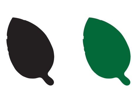 two stylized basil leaves in black and green. vector