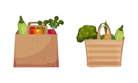 Paper Bag Full of Fresh Vegetable from Greengrocery Set vector