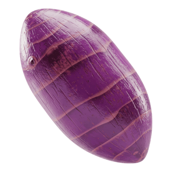 Shimmering Purple Taro Root 3D Render Transparent Background png