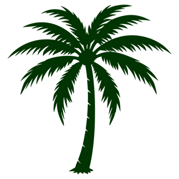 Dark green silhouette of a palm tree png