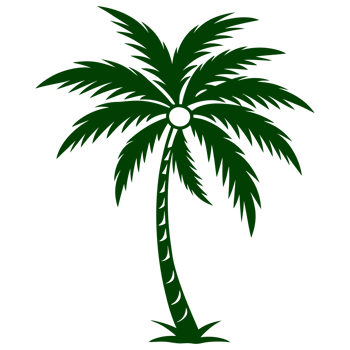 Dark green stylized palm tree silhouette png