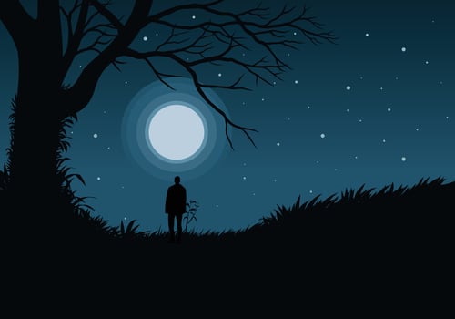 Night time illustration with full moon, stars, silhouette of a person and a tree vector