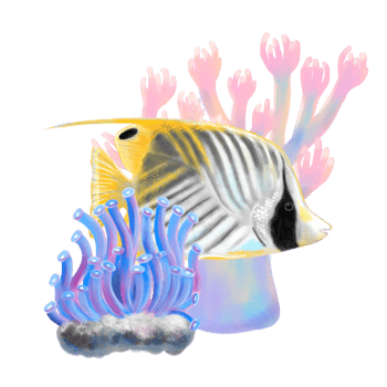Tropical exotic ocean hand drawn art in soft pastel style with bright Threadfin butterfly fish illustration, corals and seaweeds. png