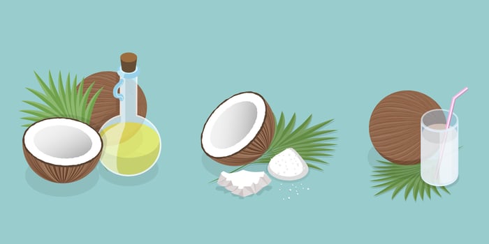 3D Isometric Flat Set of Cocount Elements, Natural Eco-Friendly Products vector