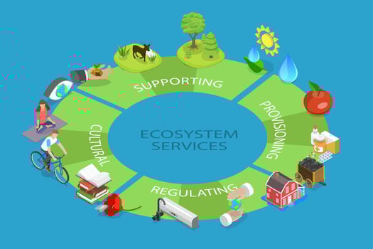 3D Isometric Flat Conceptual Illustration of Ecosystem Services, Environmental Awareness vector