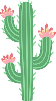 Saguaro cactus adorned with three vibrant pink flowers blooming on its arms, representing resilience and beauty thriving in harsh desert environments vector