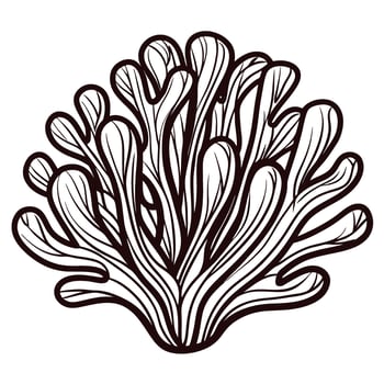 Hand drawn engraved illustration of seaweed branch detailed botanical element isolated on white background vector