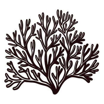 Hand drawn black coral branch illustration isolated on white background, vintage marine plant sketch design vector