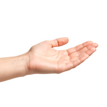 Open hand on transparent background png