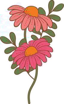 Hand drawn daisy flower illustration. vector