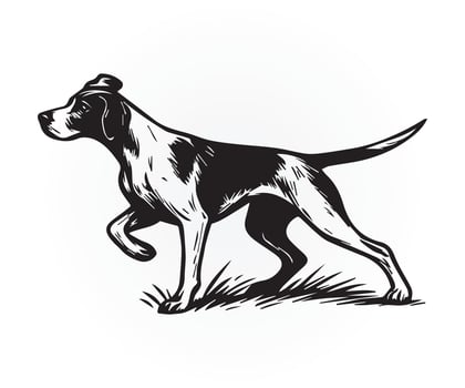 pointer dog illustration, a black and white drawing of a dog running graphics art vector