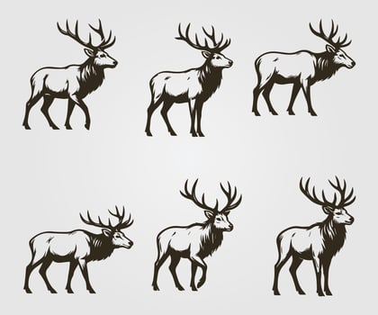 elk illustration, elk silhouette set of different deer vector