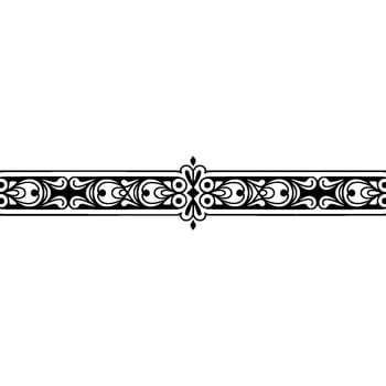 Ornate Black and White Border Elegant Illustration vector