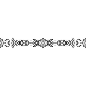 Elegant Black White Floral Border , Seamless Pattern vector