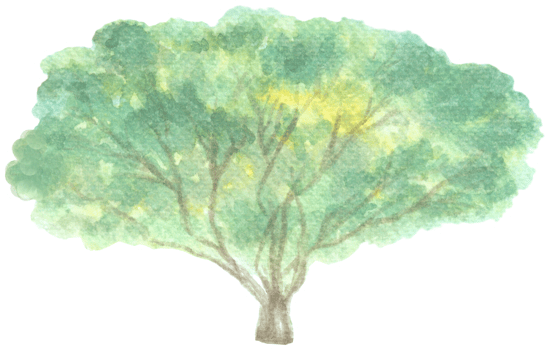 Tree with wide branches is painted by hands with watercolor in real fine art style png